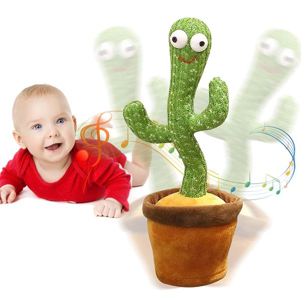 Alejandro : Cactus Dansant